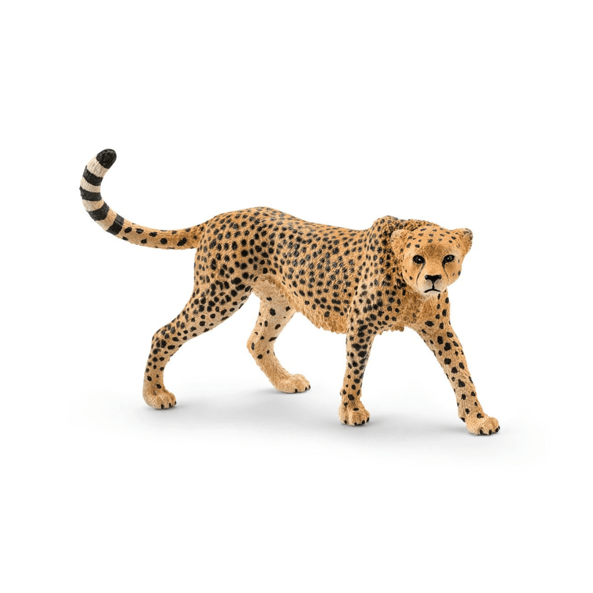 Schleich Cheetah, female 14746 - FARMS/TRACTORS/BUILDING - Beattys of Loughrea