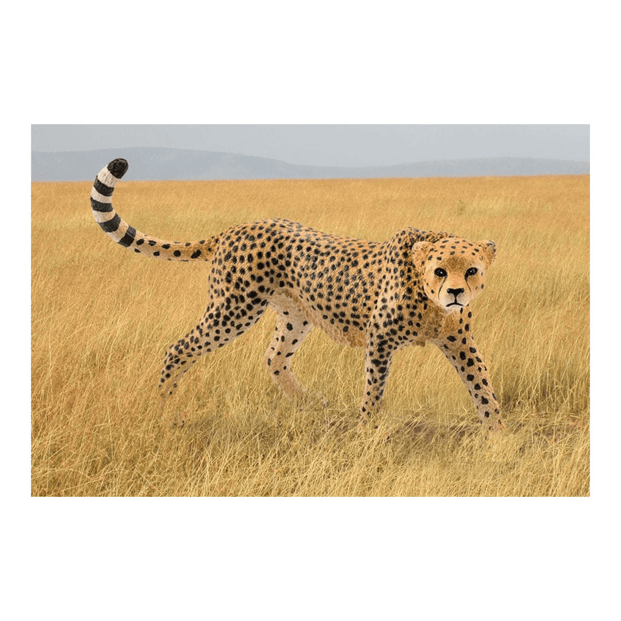 Schleich Cheetah, female 14746 - FARMS/TRACTORS/BUILDING - Beattys of Loughrea