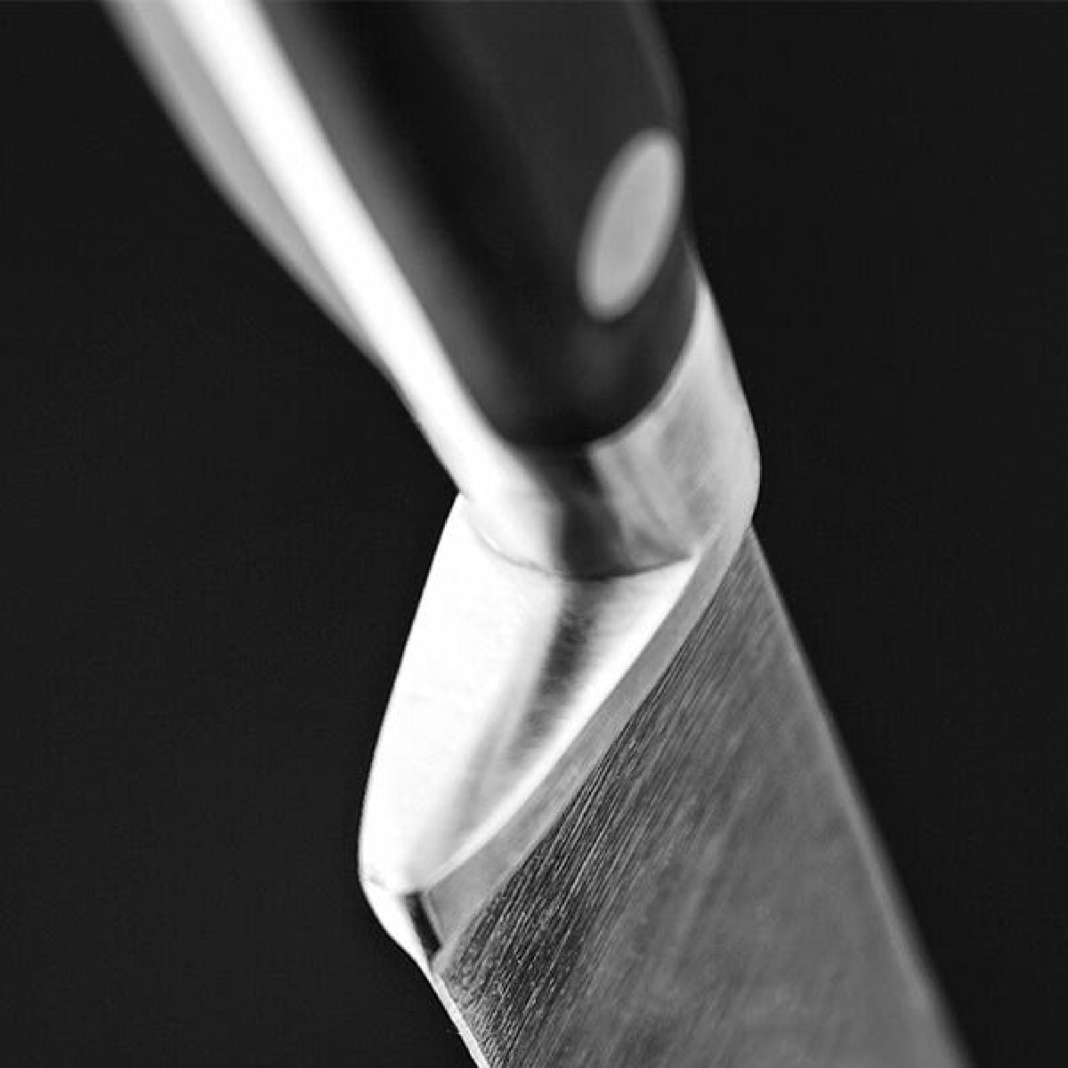 Stellar Sabatier IS 25cm Carving Knife