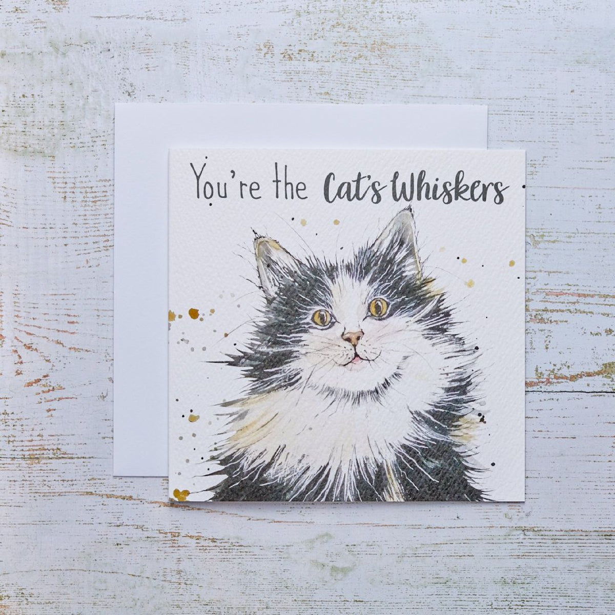 R13 CATS WHISKERS CARD 4CT470