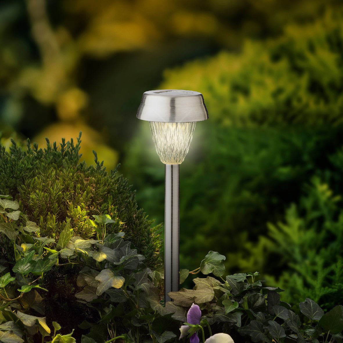 Set of 4 26cm Clear Solar Stake Lights - GARDEN ORNAMENTS INCL SOLAR - Beattys of Loughrea
