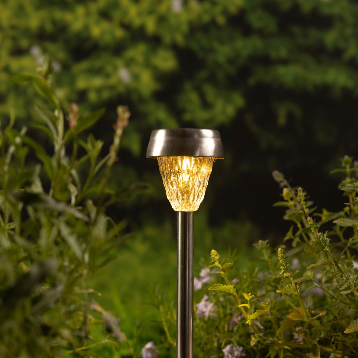Set of 4 26cm Clear Solar Stake Lights - GARDEN ORNAMENTS INCL SOLAR - Beattys of Loughrea