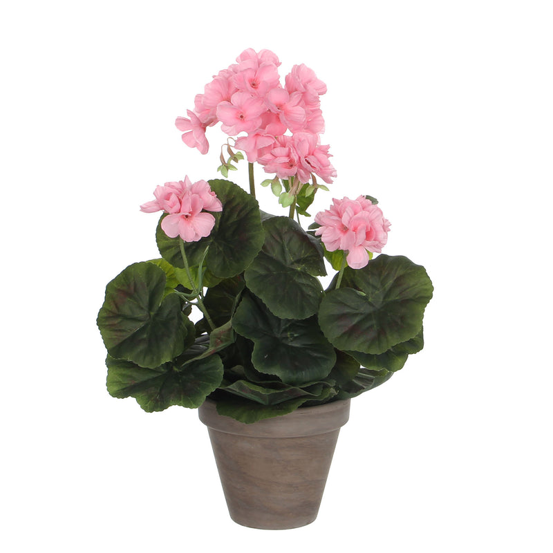 Geranium in Grey Pot 34 x 20cm Pink