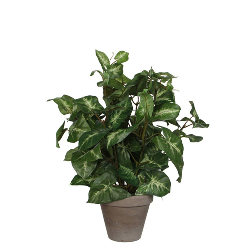 Syngonium Artificial Plant in Plant Pot H35 x Ø25cm - POTTED PLANTS - DRY ORNAMENTAL - Beattys of Loughrea
