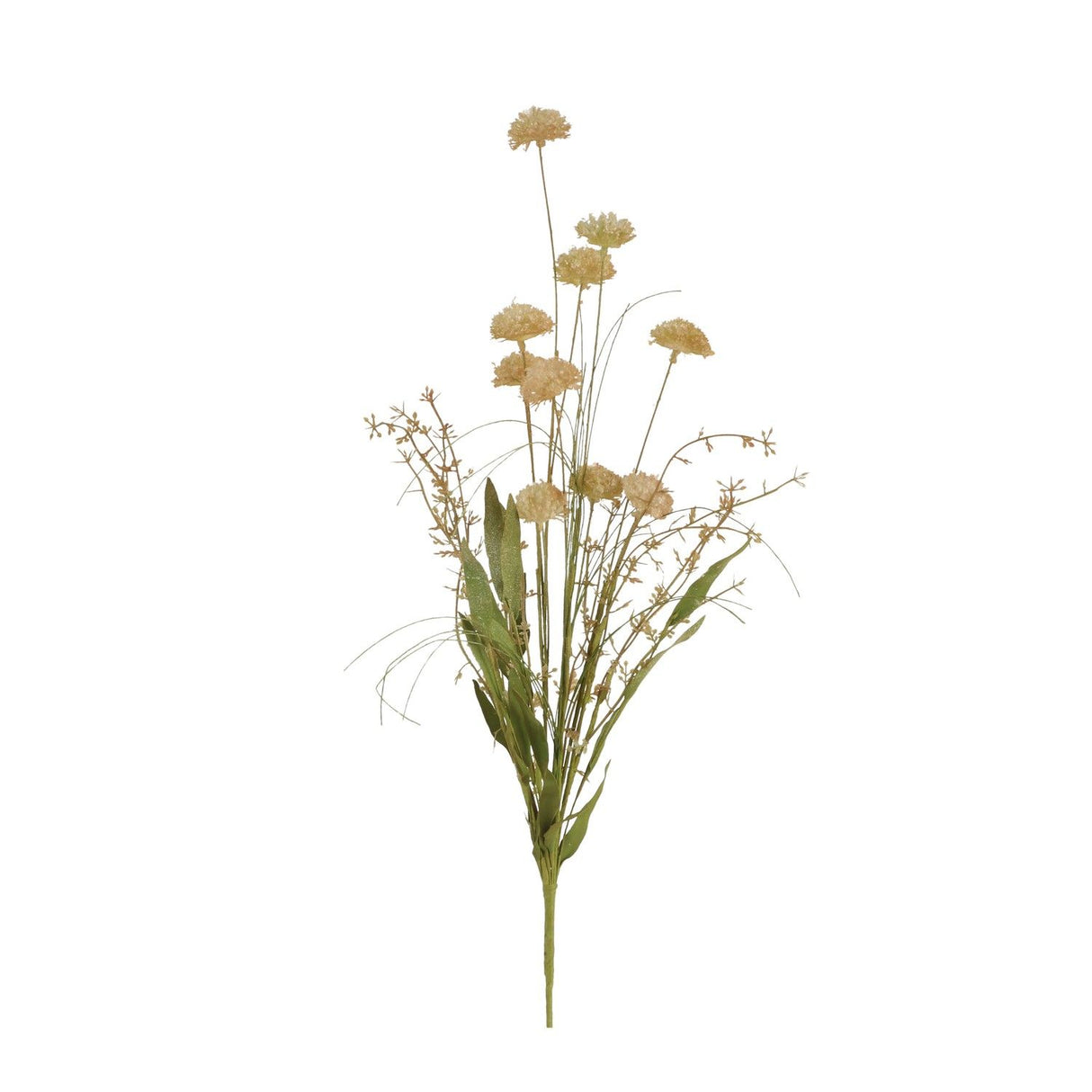 Pom Pom Artificial Branch Dried Flowers 53cm Green - FLOWERS - PAPER/PLASTIC - Beattys of Loughrea