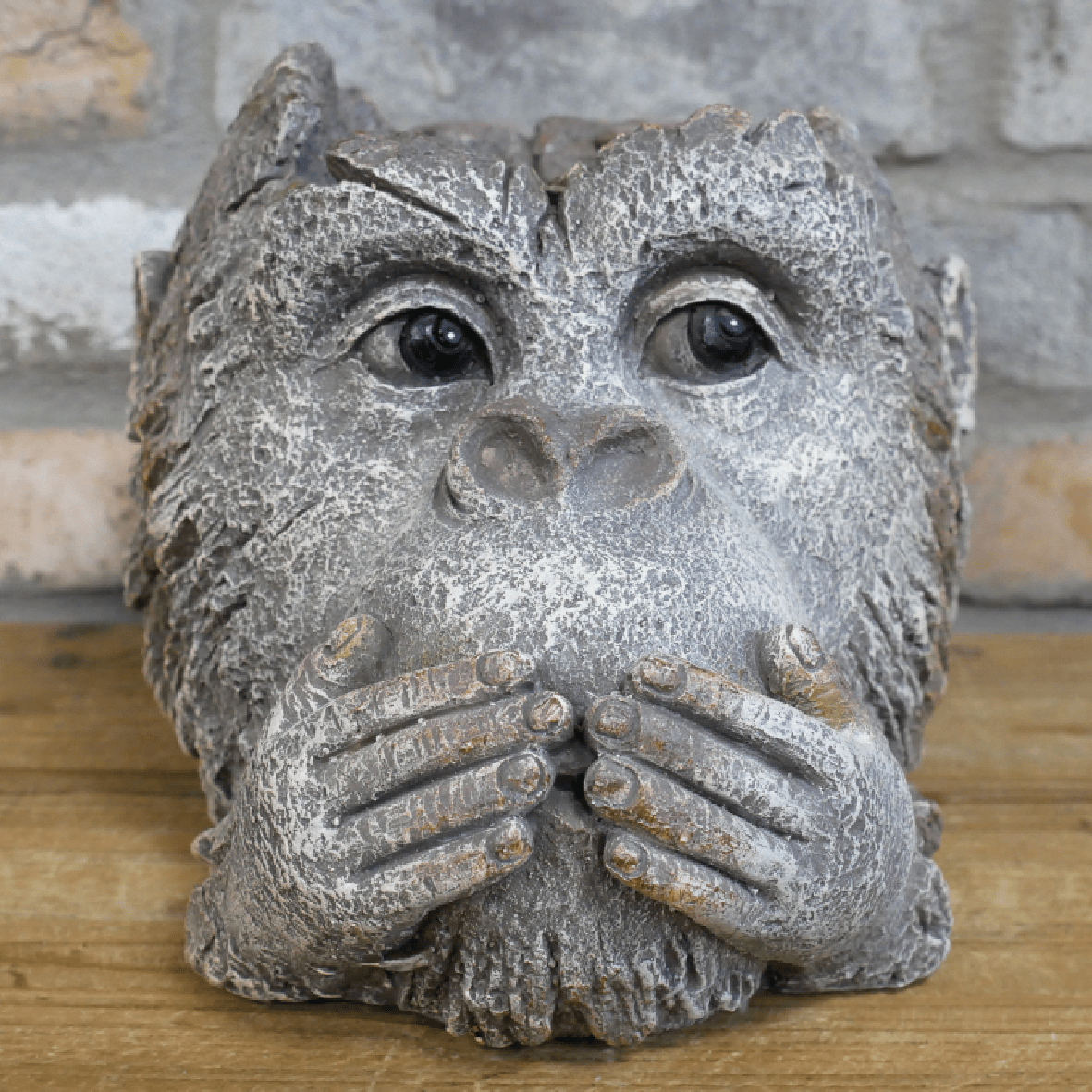 Monkey Head Planter 9448 - PLANTER POT CLAY / CERAMIC - Beattys of Loughrea