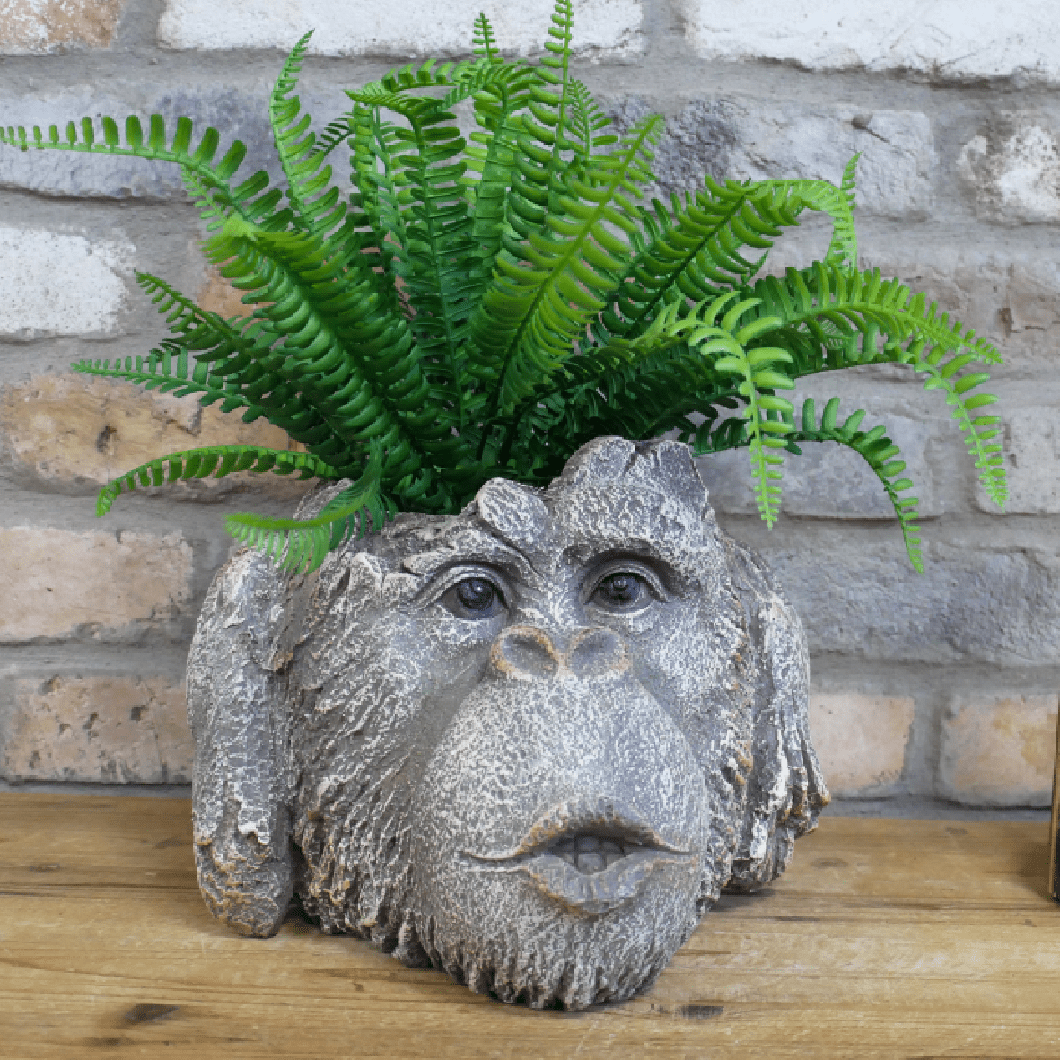 Monkey Head Planter 9447 - PLANTER POT CLAY / CERAMIC - Beattys of Loughrea