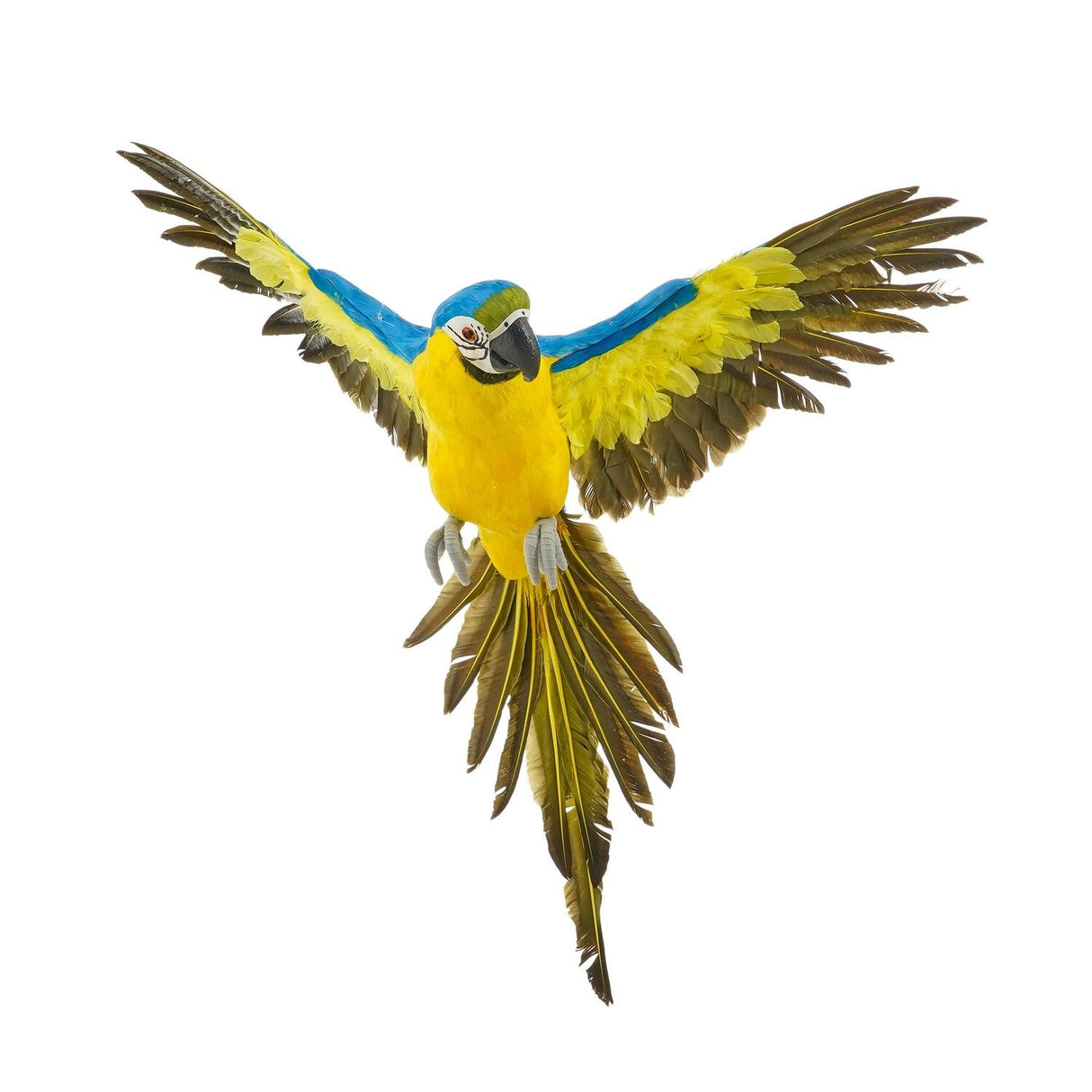 Decorative Hanging Parrot Blue - l75xw76xh28cm