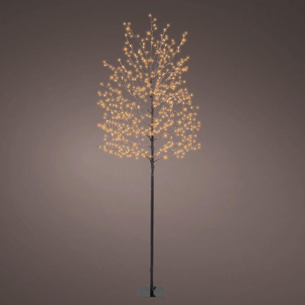 Lumineo Micro 720 Classic Warm LED Black Tree Outdoor 180cm (6ft) - XMAS TREE F/O LIGHT UP - Beattys of Loughrea