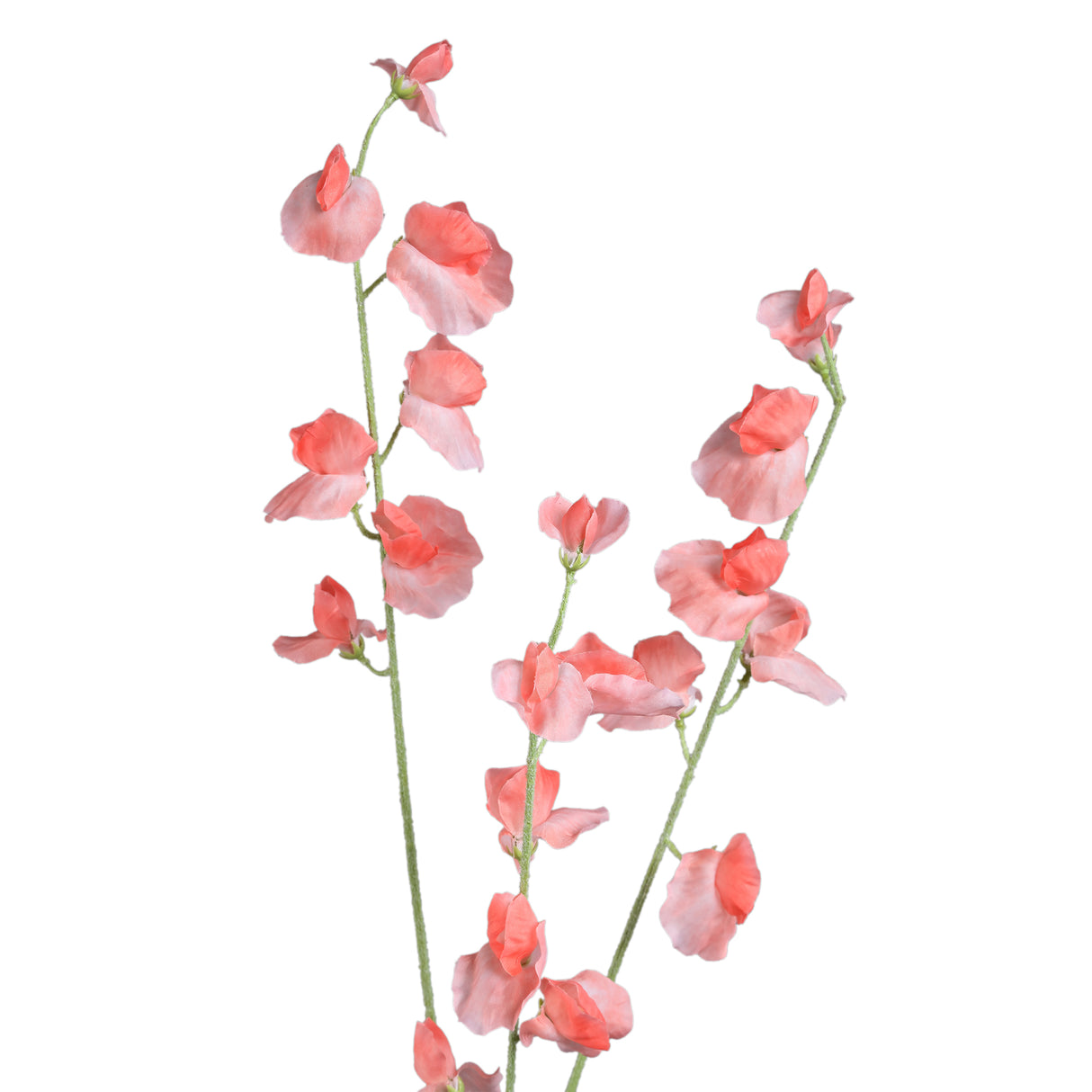 Light Pink Sweet Pea Spray Artificial Flower - FLOWERS - PAPER/PLASTIC - Beattys of Loughrea