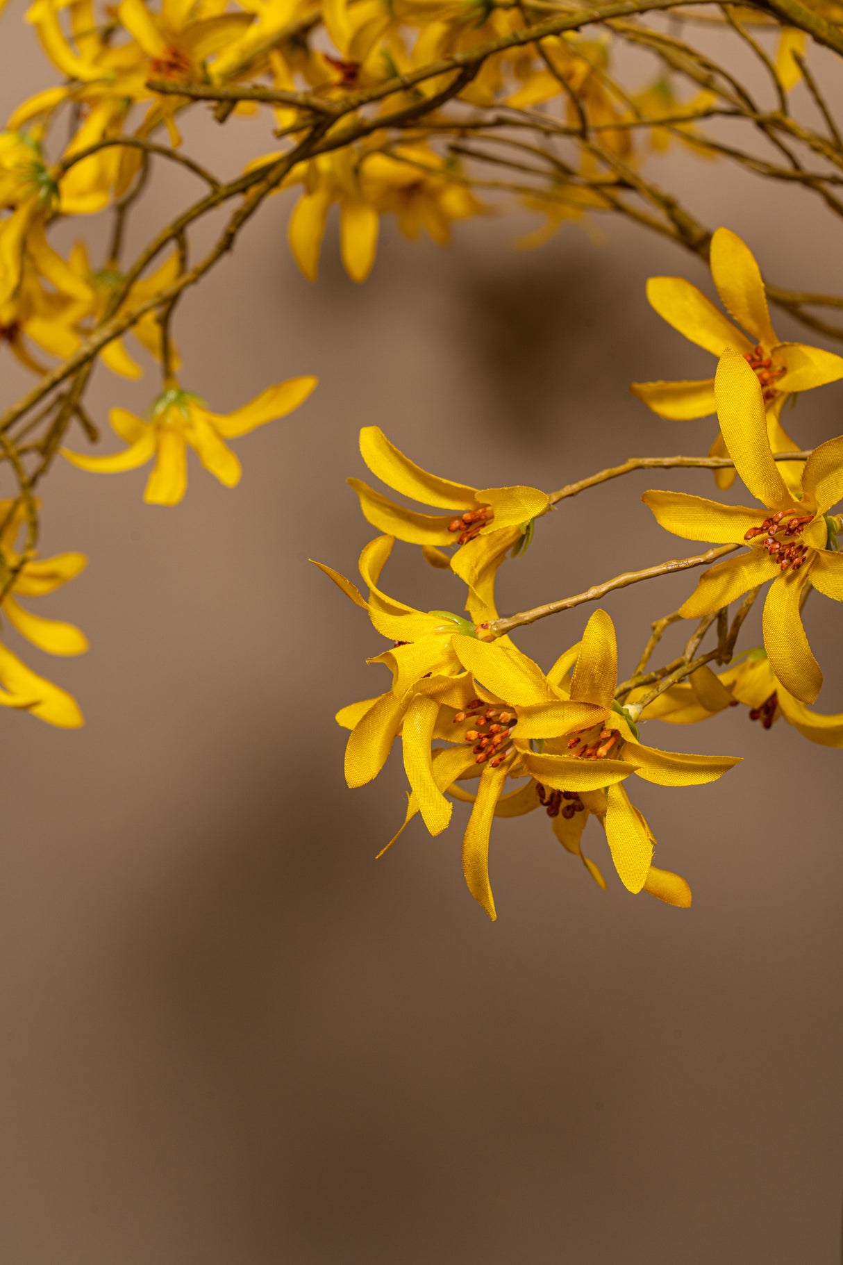 Yellow Wild Orchid Spray Artificial Flower - FLOWERS - PAPER/PLASTIC - Beattys of Loughrea