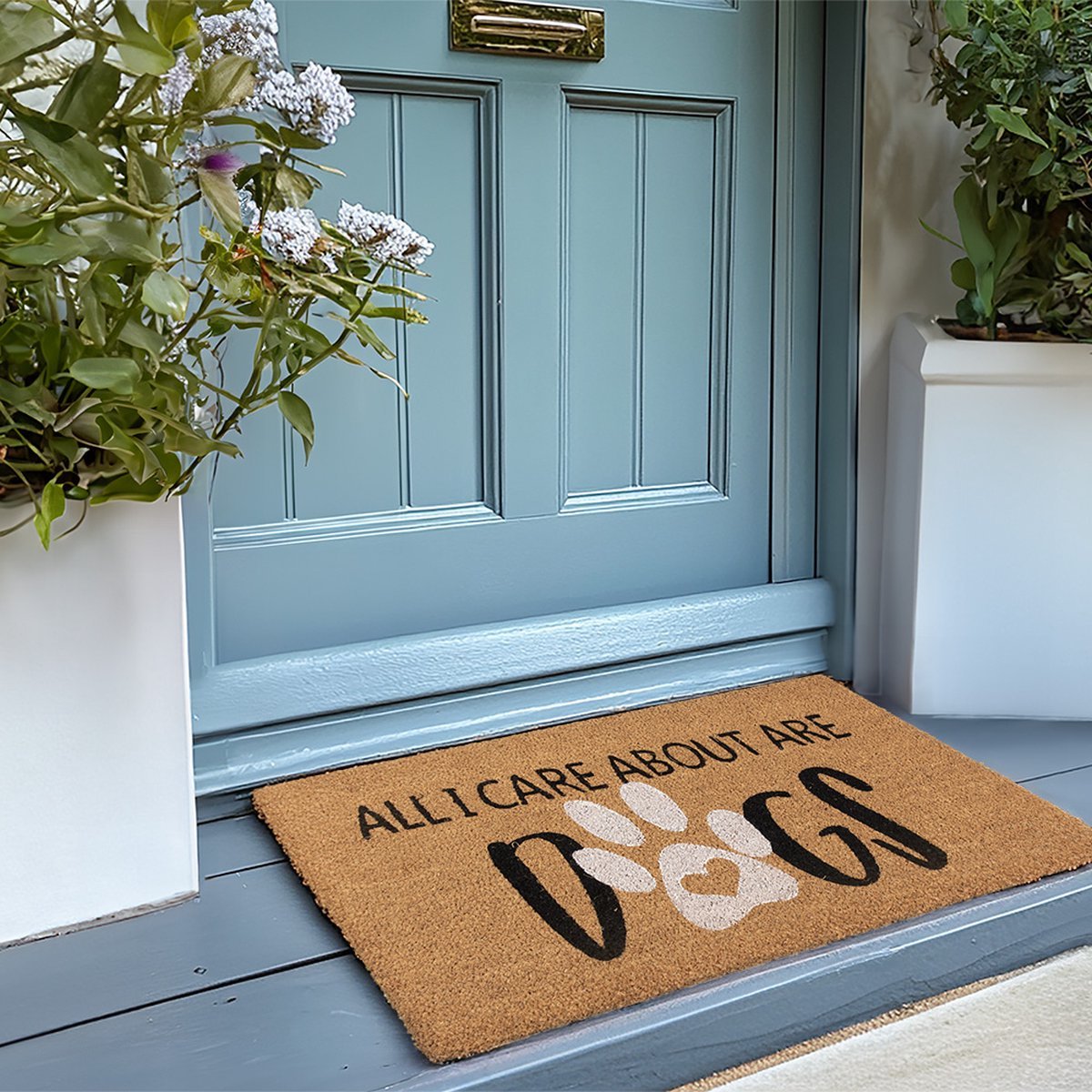 All I Care about are Dogs Door Mat 45x75cm - DOOR MATS/DOOR CURTAIN - Beattys of Loughrea