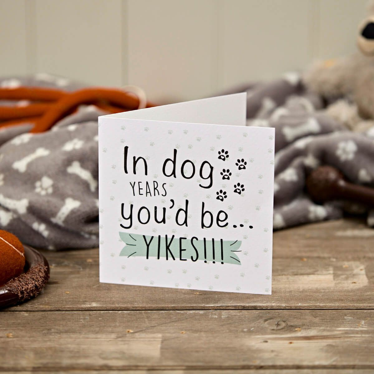 R13 IN DOG YEARS YOU'D BE YIKES HOW OLD BIRTHDAY CARD 4DG393
