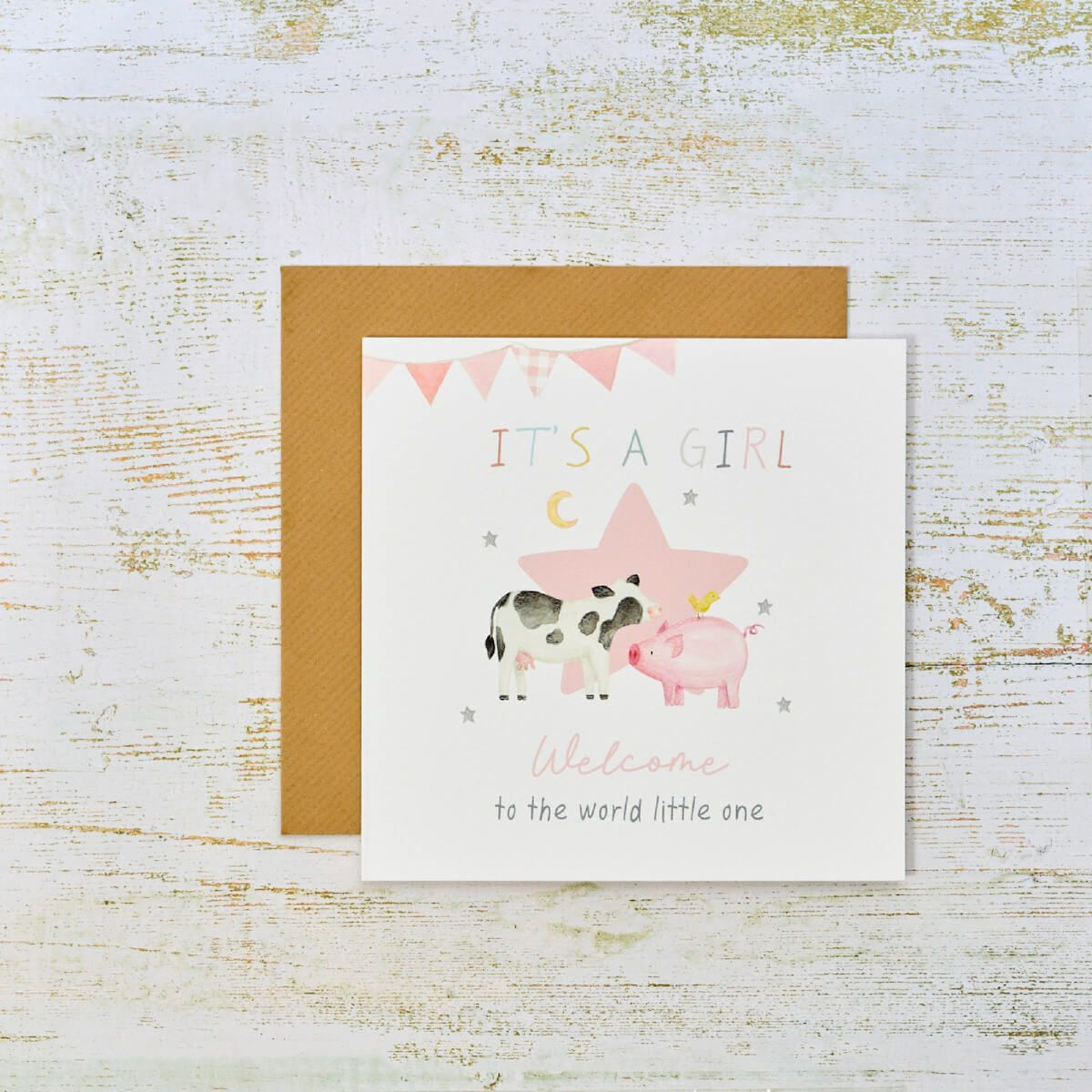 R13 IT'S A GIRL WELCOME TO THE WORLD LITTLE ONE CARD 4MF215