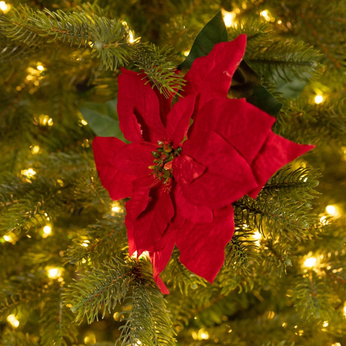 Red Poinsettia Stem 67cm