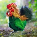 Animigos World Of Nature Rooster - SOFT TOYS - Beattys of Loughrea
