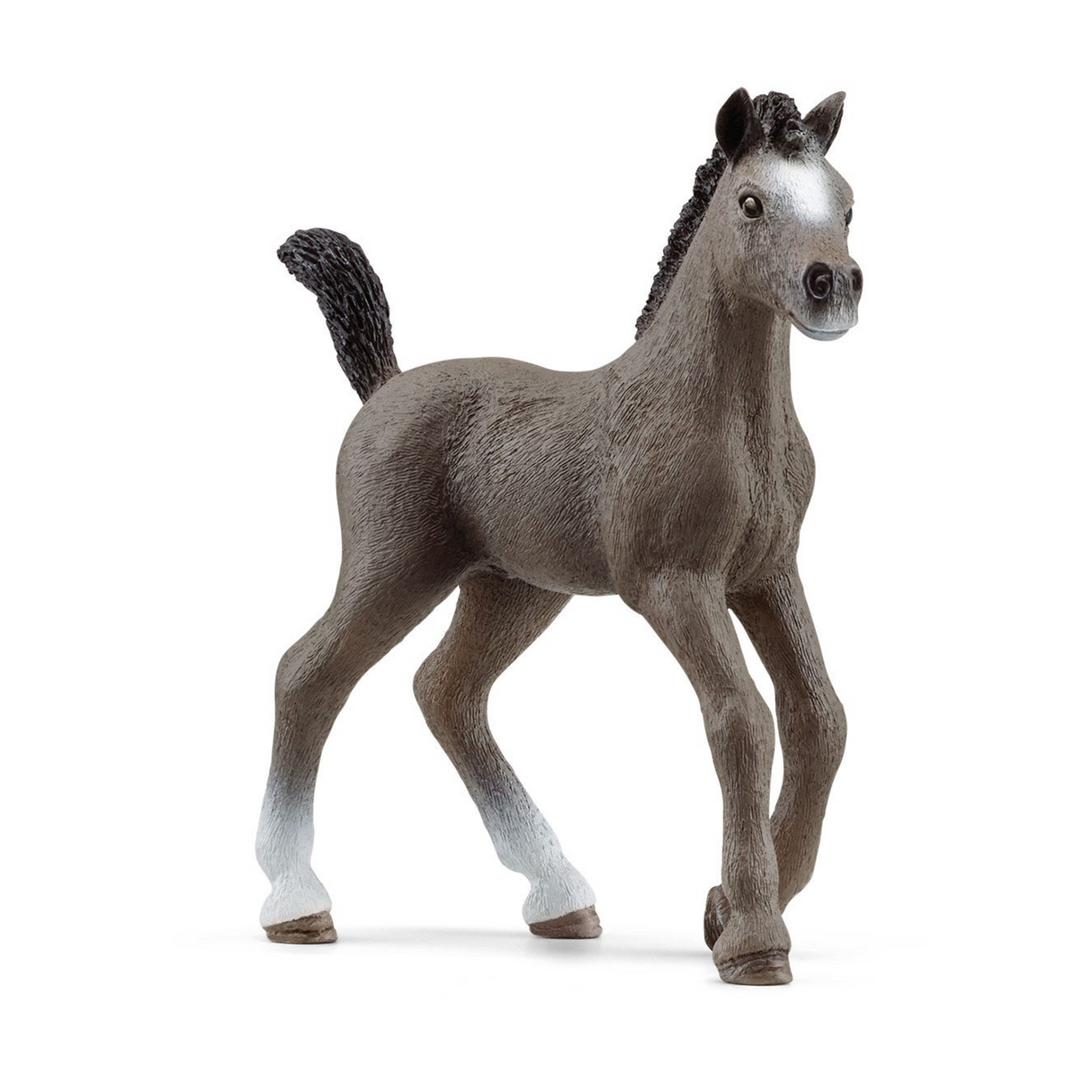 Schleich Selle Français Foal 13957