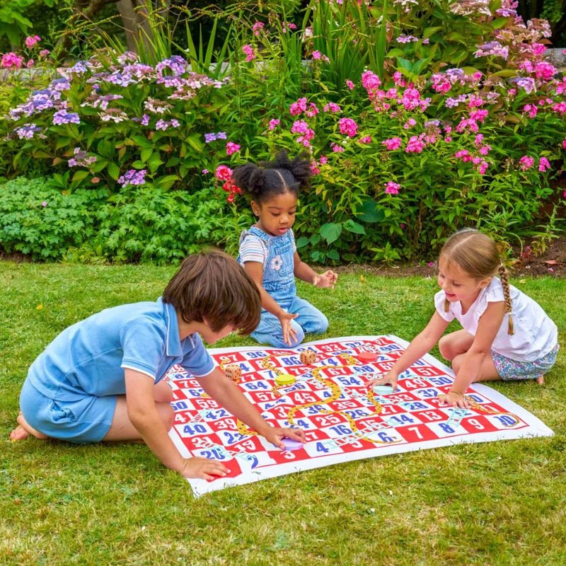TP Giant Snakes and Ladders - Beattys of Loughrea | www.beattys.ie