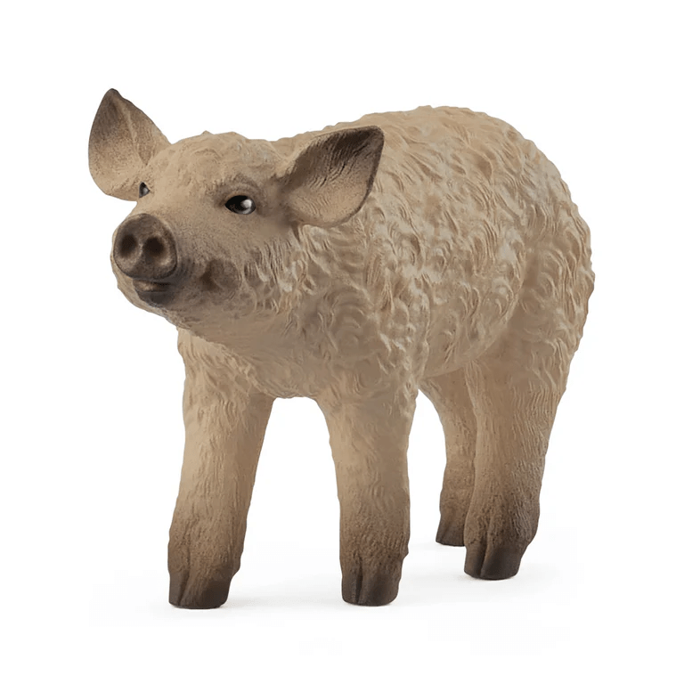 Schleich Mangalica Piglet - FARMS/TRACTORS/BUILDING - Beattys of Loughrea