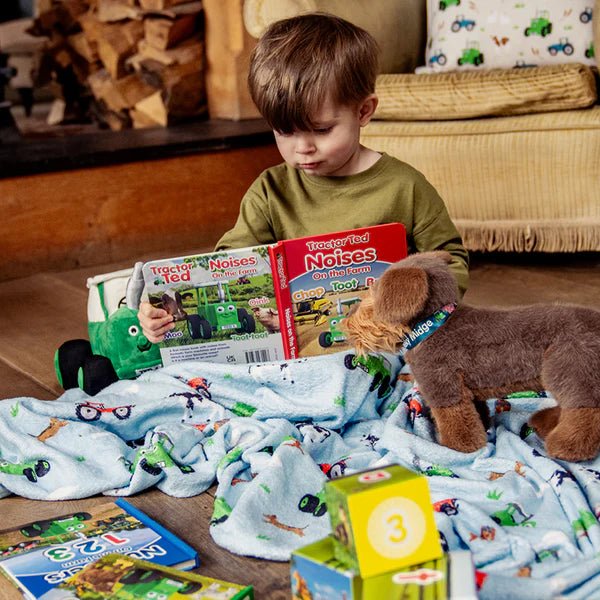 Tractor Ted First Noises - Board Book - BOOKS - Beattys of Loughrea