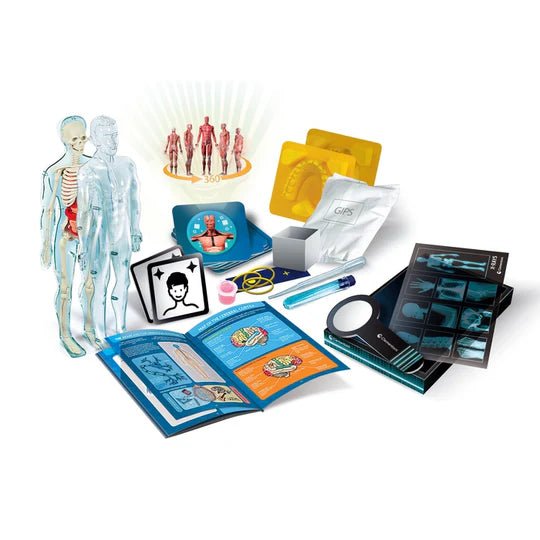 Clementoni Super Anatomy - ART & CRAFT 2 - Beattys of Loughrea