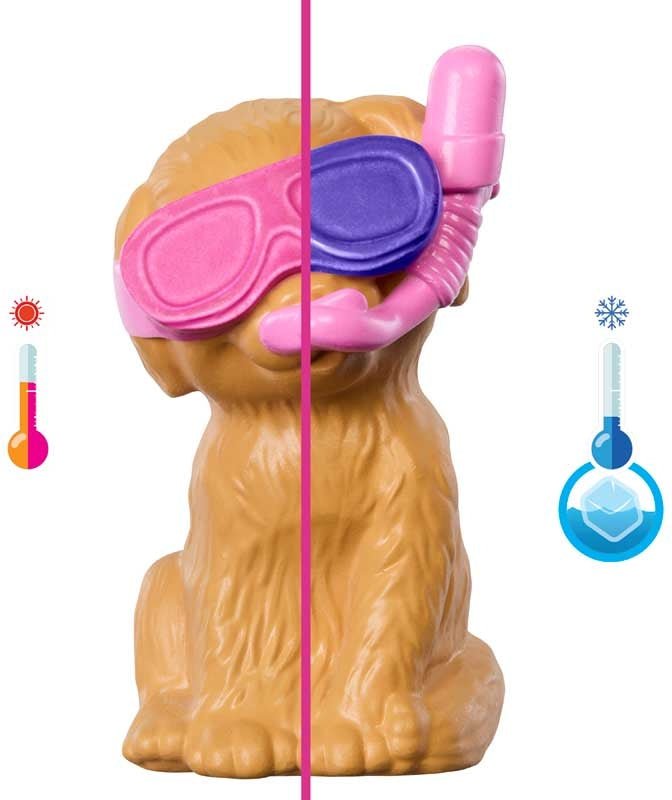 Barbie Puppy Pool Party - BARBIE - Beattys of Loughrea
