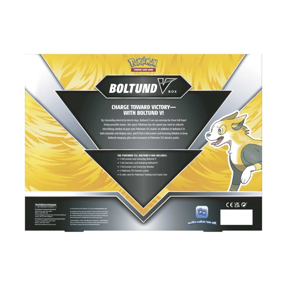 Pokémon TCG: Boltund V Showcase Box - HALLOWEEN, PKT MONEY, JOKE - Beattys of Loughrea