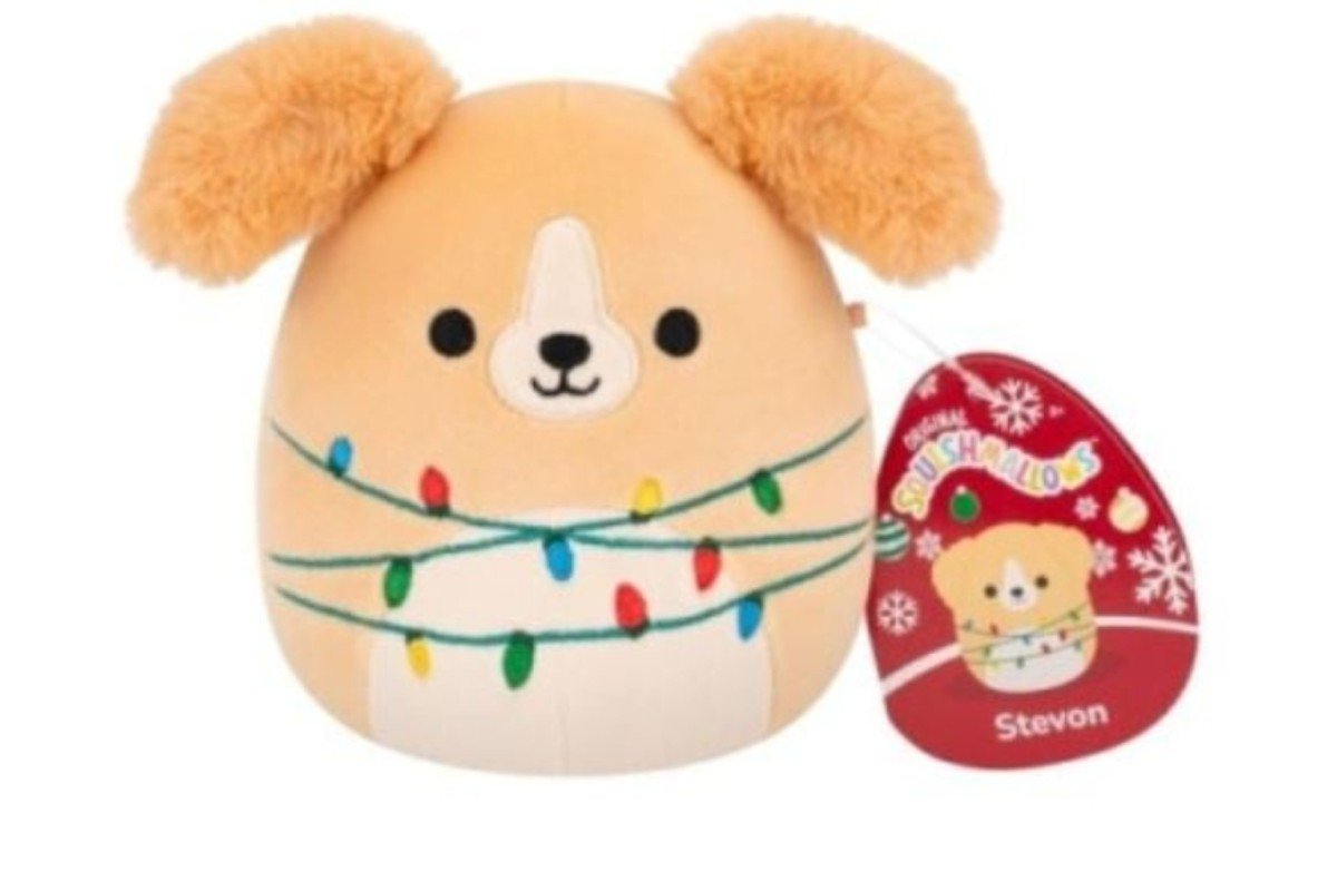 7.5" Squishmallows Stevon - Golden Retriever W/Cream Belly And String Lights - SOFT TOYS - Beattys of Loughrea