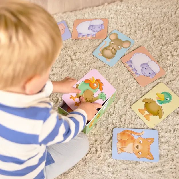 See and Sound Flashcards - Beattys of Loughrea | www.beattys.ie