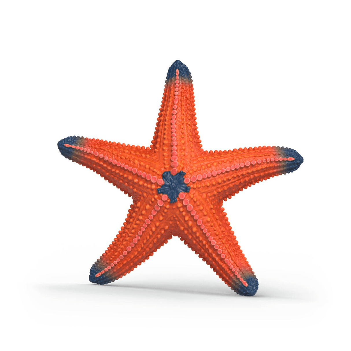 Schleich Starfish with color change 14902 - FARMS/TRACTORS/BUILDING - Beattys of Loughrea
