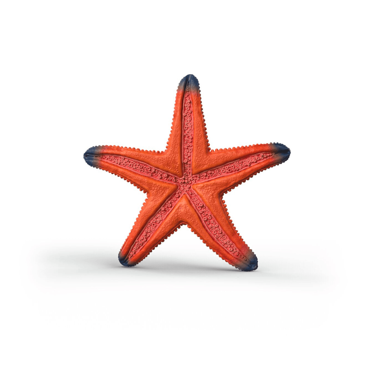 Schleich Starfish with color change 14902 - FARMS/TRACTORS/BUILDING - Beattys of Loughrea