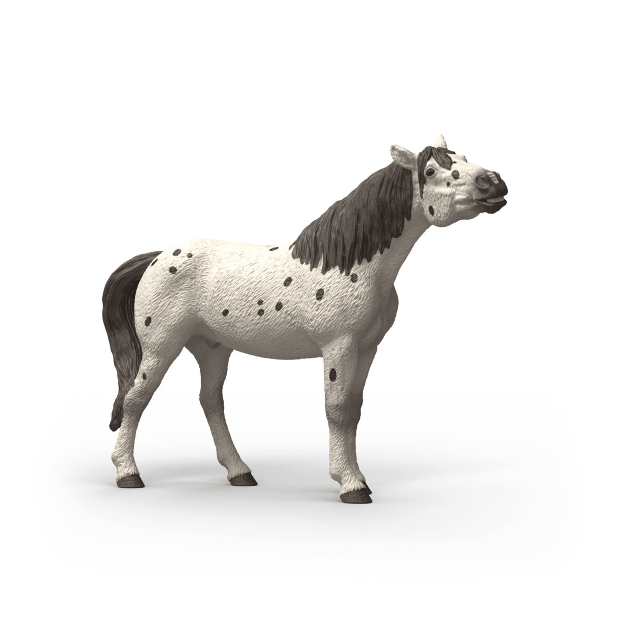 Schleich Knabstrupper Gelding 14916 - FARMS/TRACTORS/BUILDING - Beattys of Loughrea