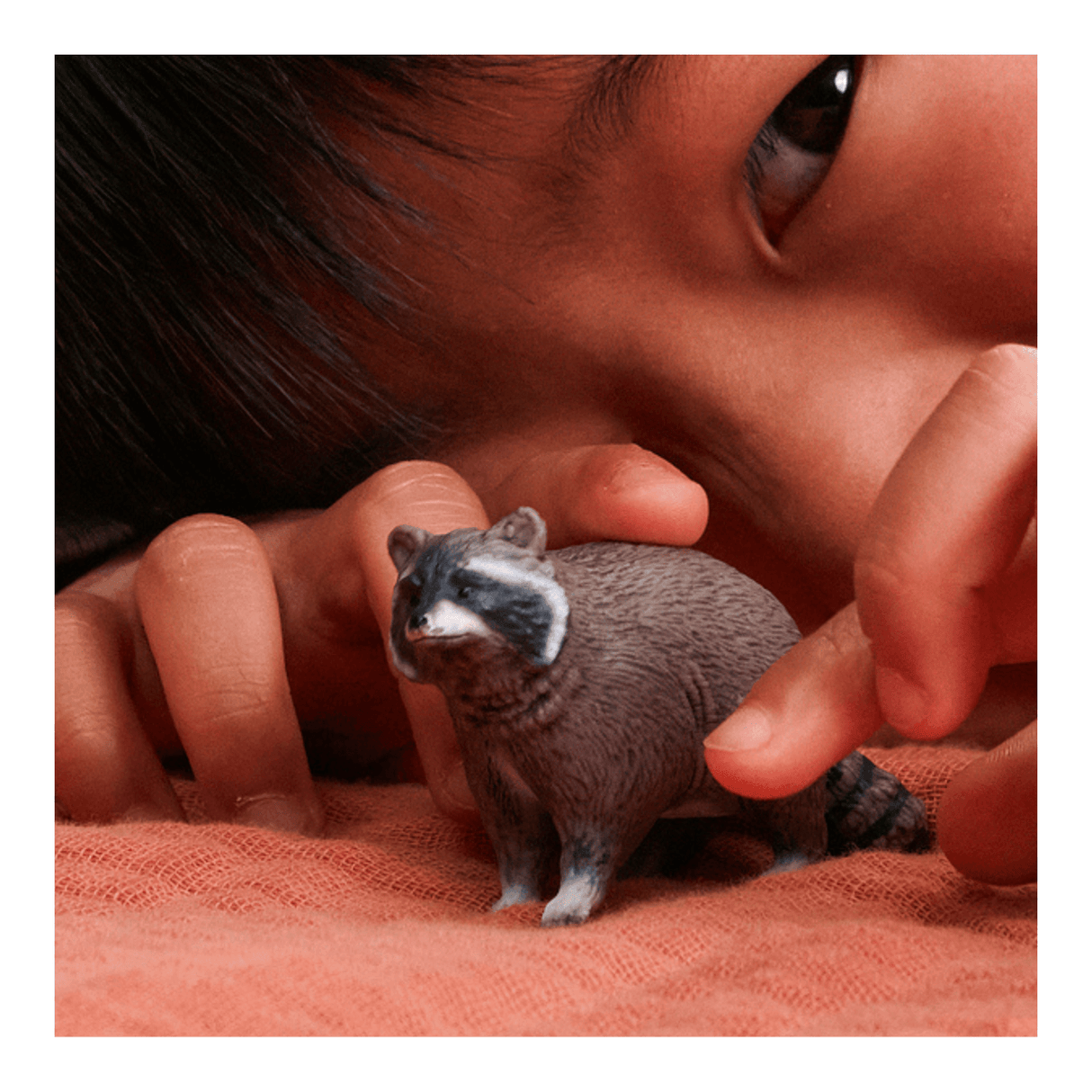 Schleich Racoon 14937 - FARMS/TRACTORS/BUILDING - Beattys of Loughrea