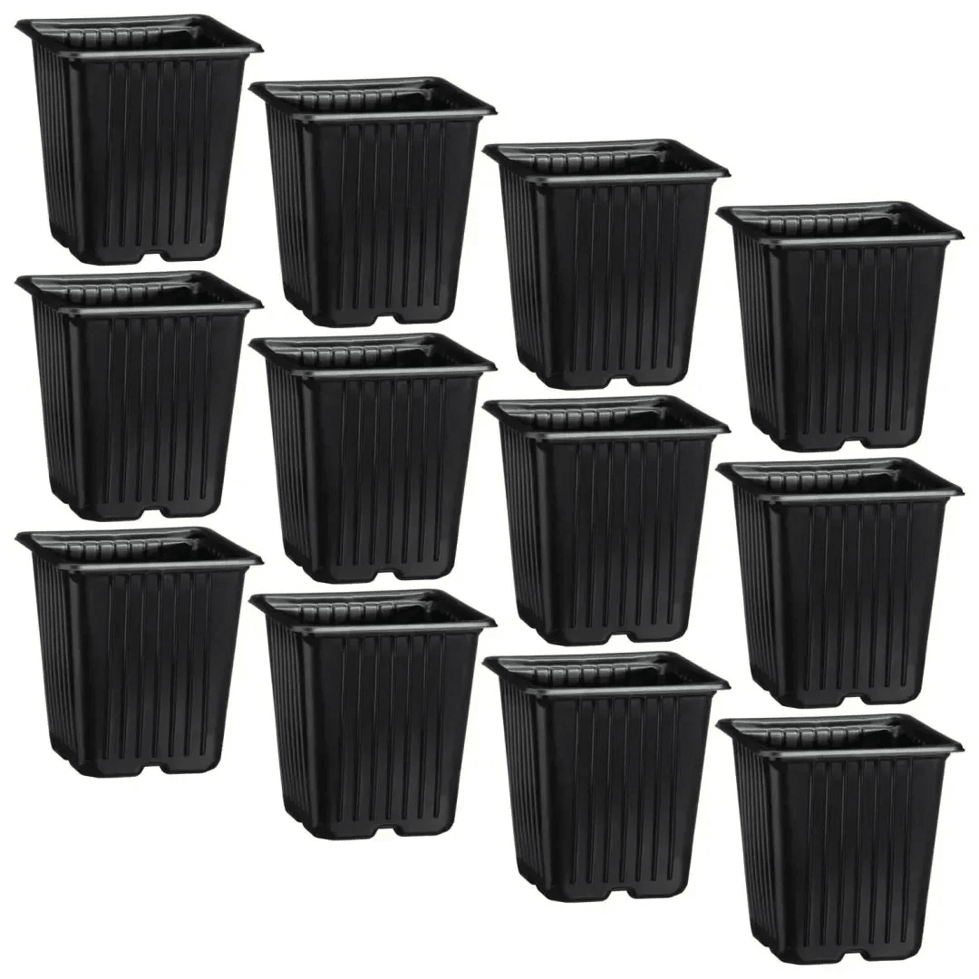 Green Blade 12 Pack Plant Pots – 9 × 9 × 10cm BB‑PP109 - INSECTICIDE/SMOKE CANE - Beattys of Loughrea