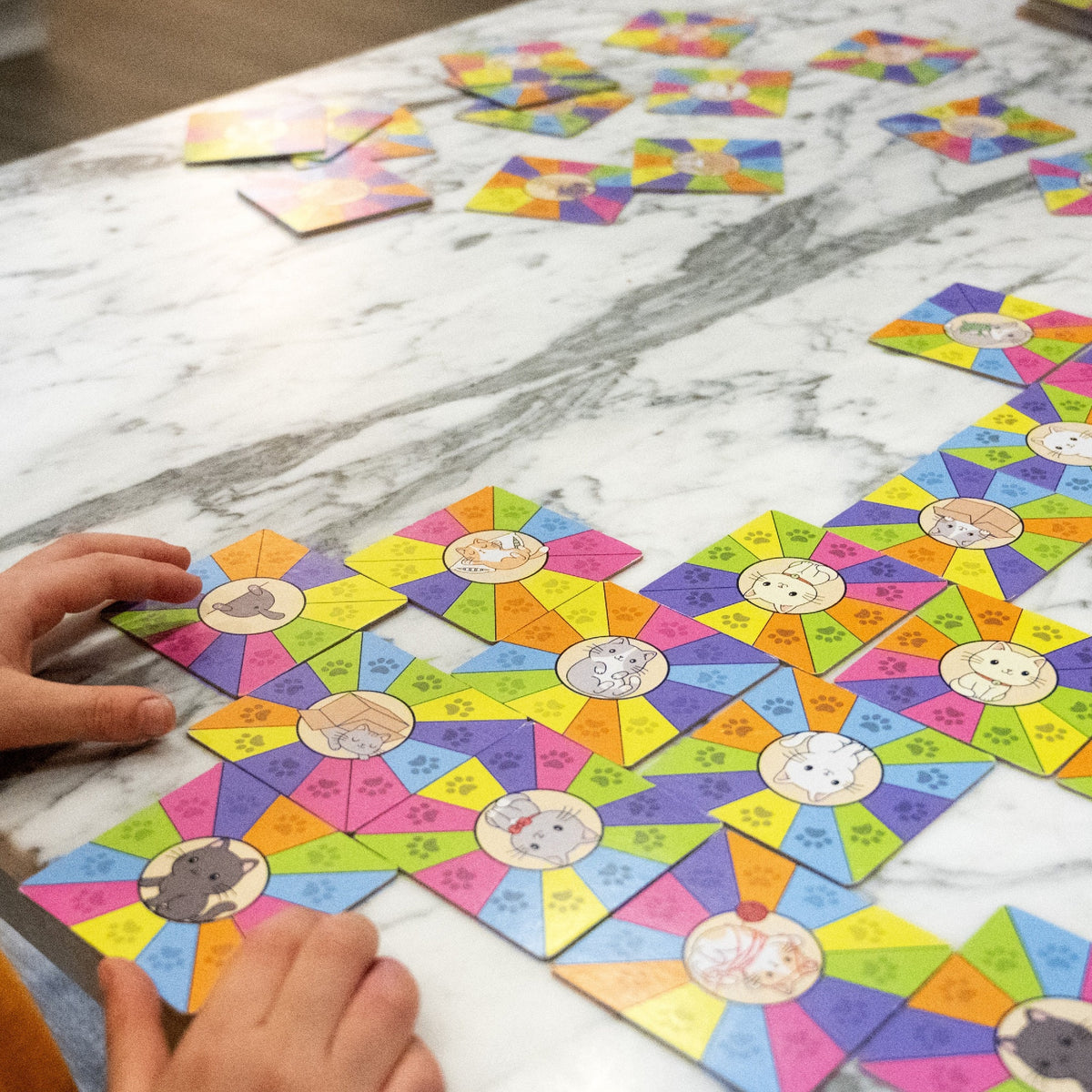 Project Genius Kitty Litter Tile Matching Game