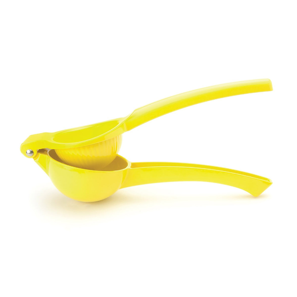 Taylor's Eye Witness Lemon Press