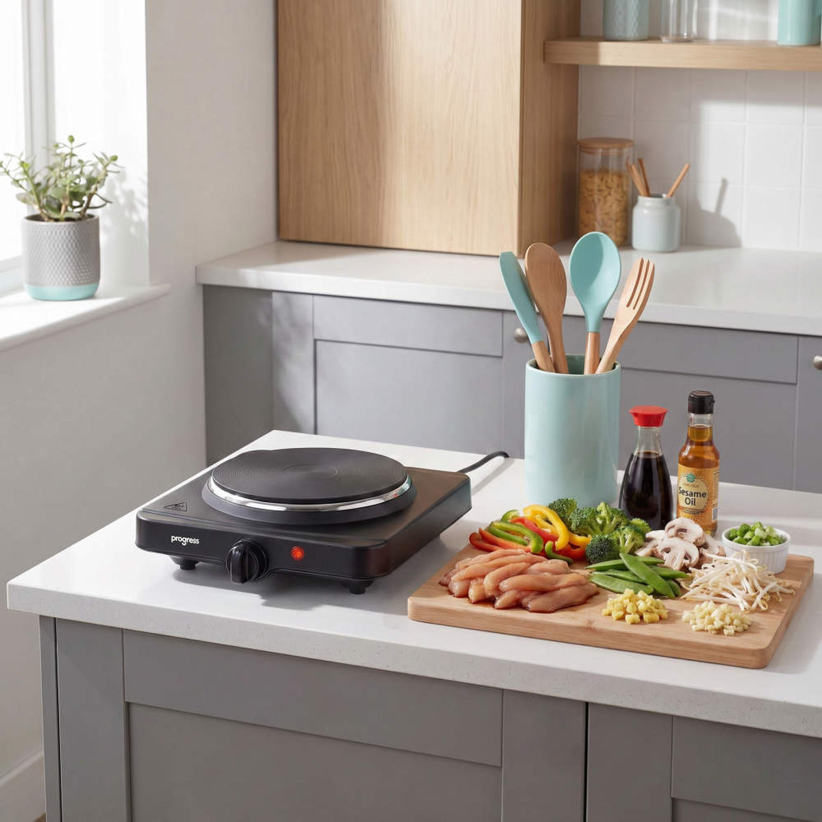 Progress Single Hot Plate