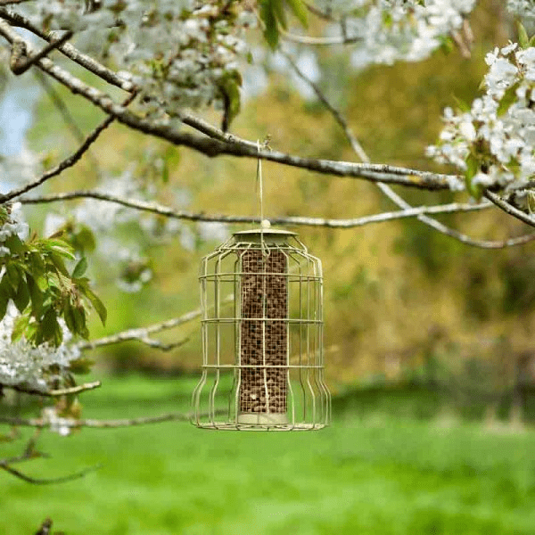 Original Squirrel Proof Peanut Feeder - BIRD HOUSE/ FEEDERS - Beattys of Loughrea