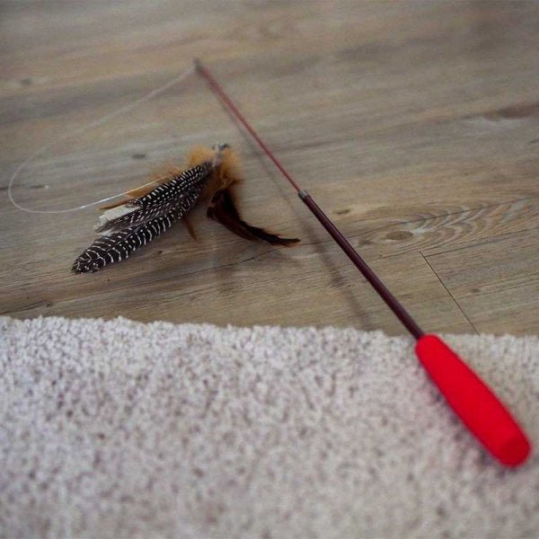 Telescopic Tickle Stick Cat Toy - PET TOYS BOOKS - Beattys of Loughrea
