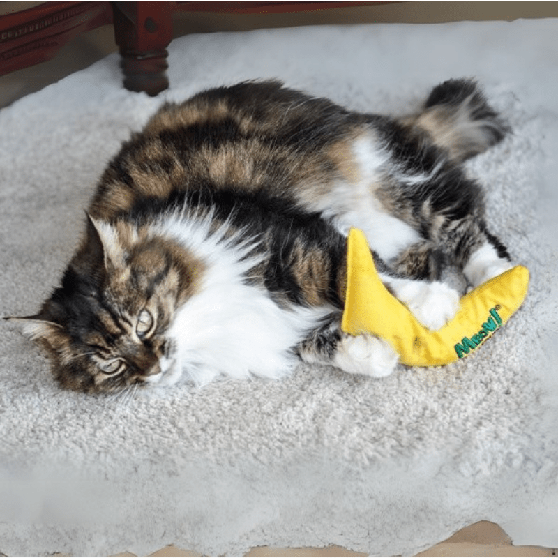 Nip - it 100% Catnip Meow! Banana Cat Toy - PET TOYS BOOKS - Beattys of Loughrea