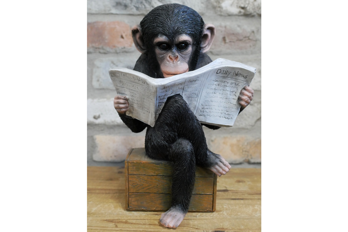 Monkey Reading The News Ornament 28cm - ORNAMENTS - Beattys of Loughrea