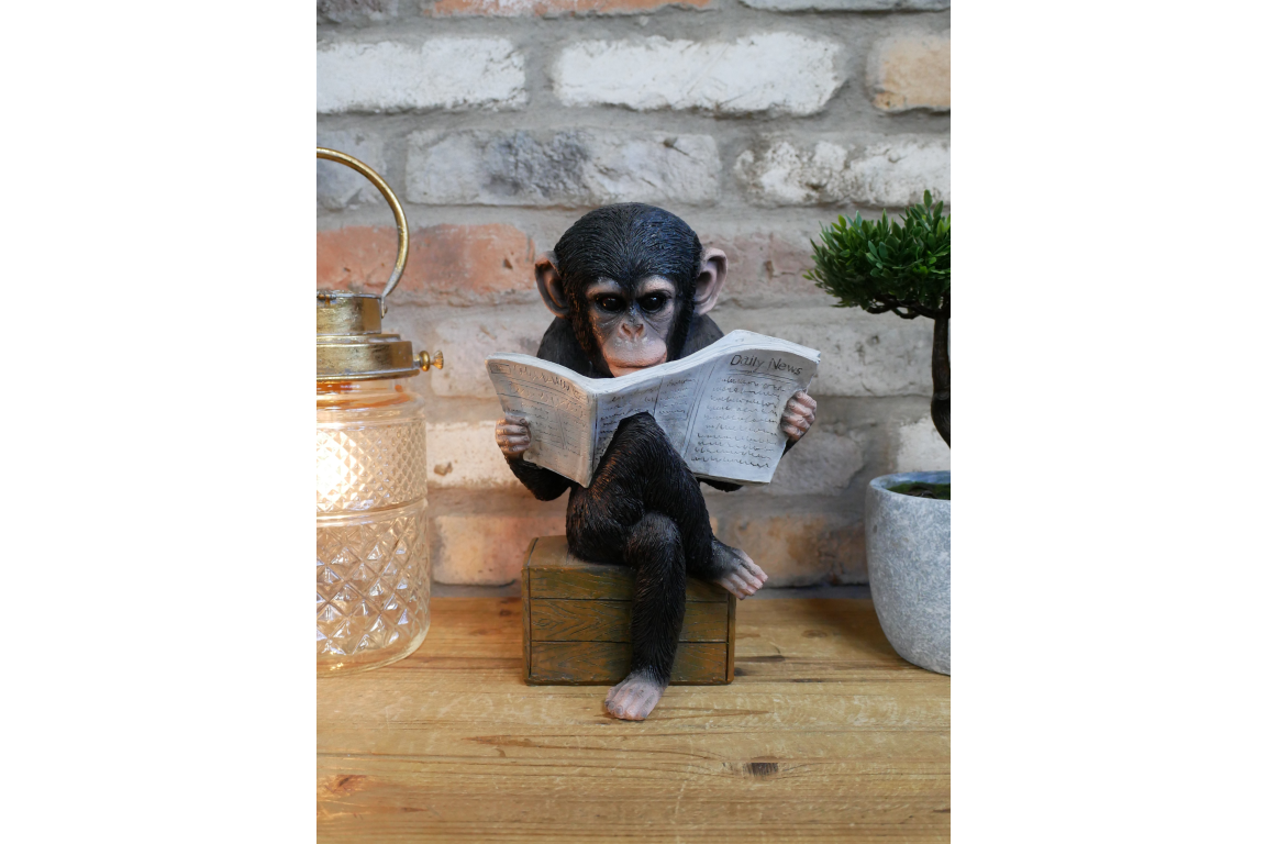 Monkey Reading The News Ornament 28cm - ORNAMENTS - Beattys of Loughrea