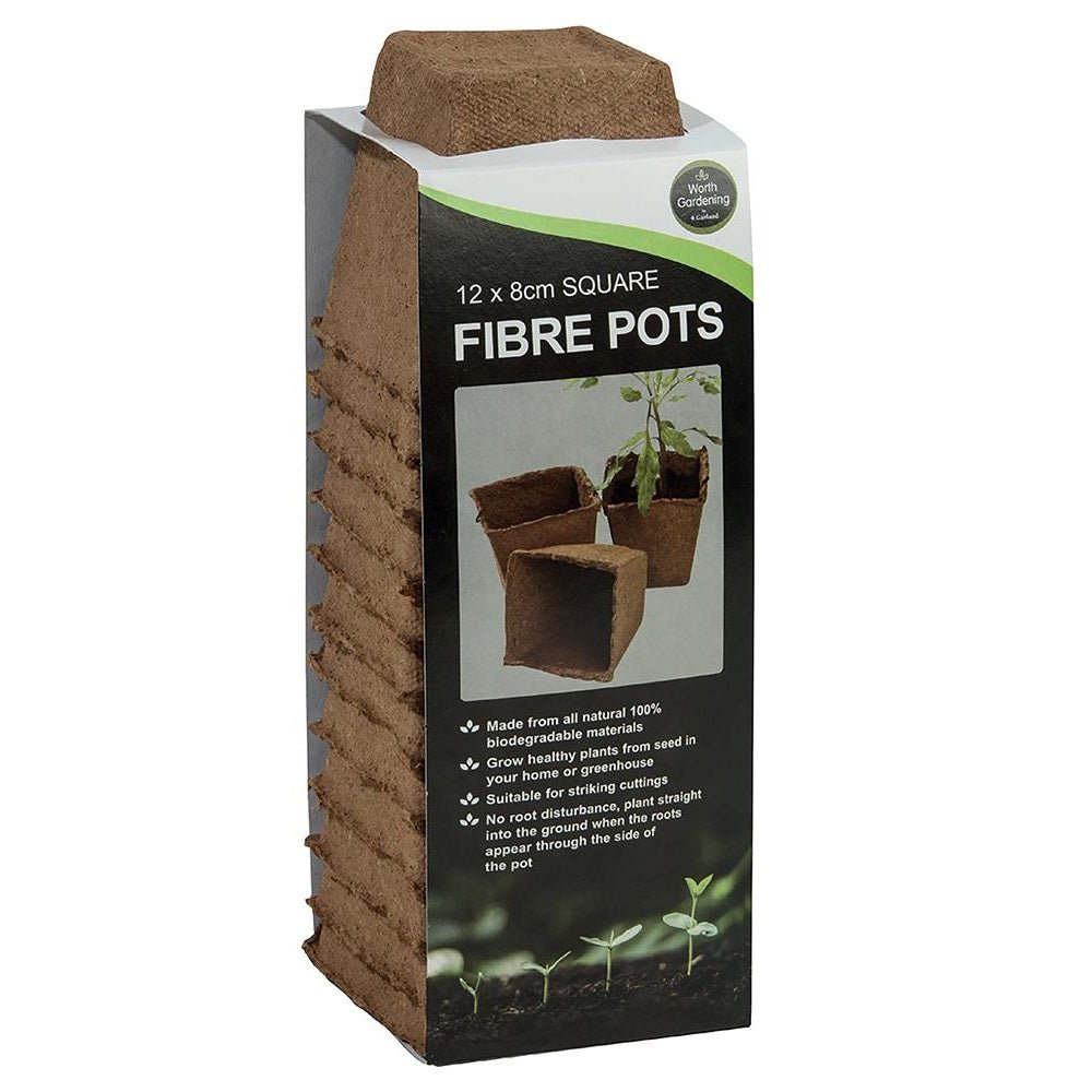 8cm Square Fibre Plant Pots, 12 Pack - PROPAGATOR, SEED TRAY, MATTING - Beattys of Loughrea