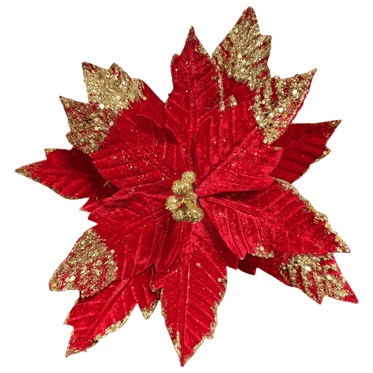 Radiant Reds Clip - Style 1 - XMAS PICKS - Beattys of Loughrea