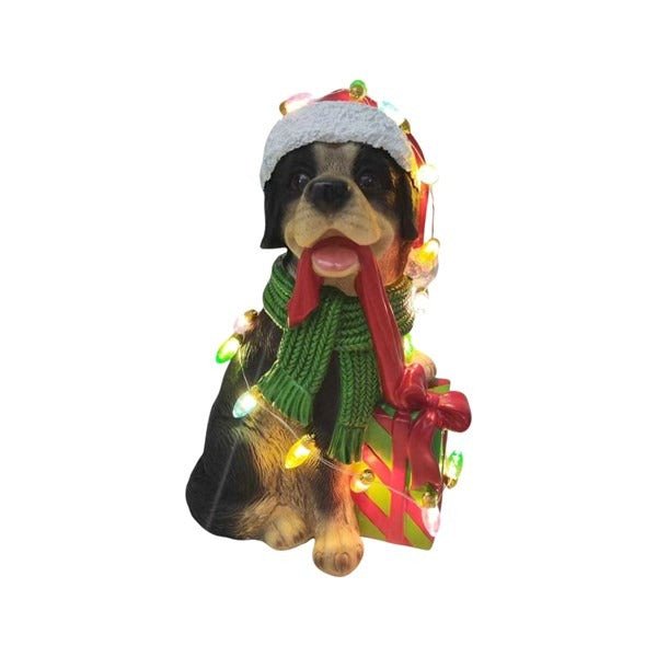 LED Christmas Rottweiler 12x24cm - XMAS ROOM DECORATION LARGE AND LIGHT UP - Beattys of Loughrea
