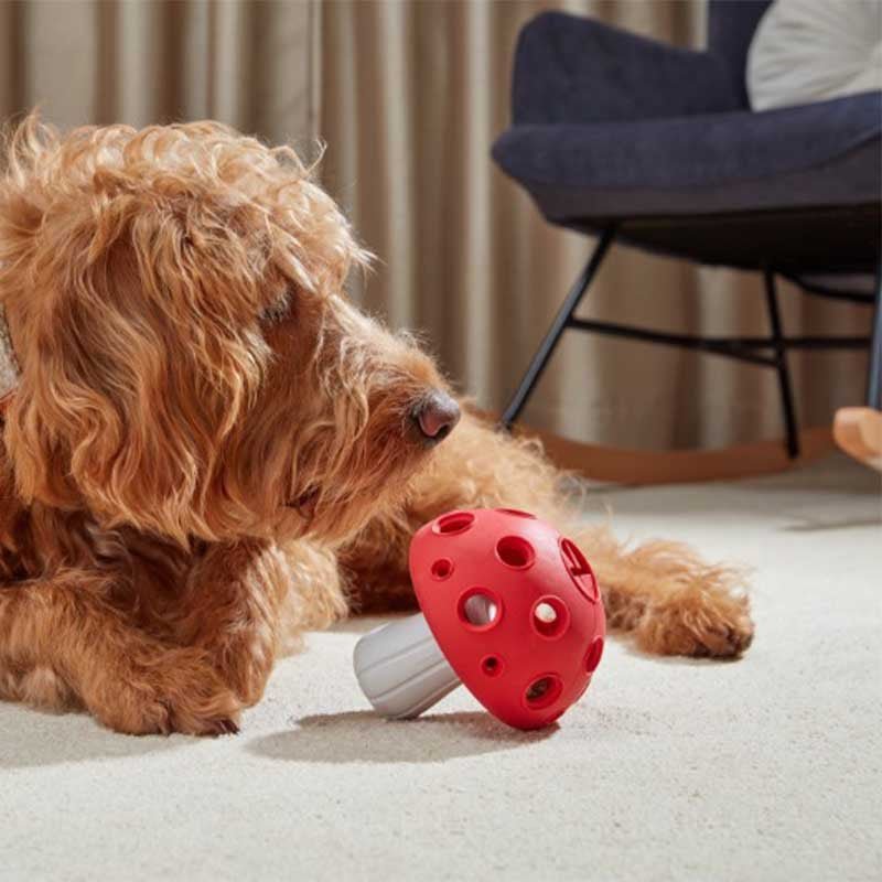 Zoon Treat Shroom Interactive Dog Toy - PET TOYS BOOKS - Beattys of Loughrea