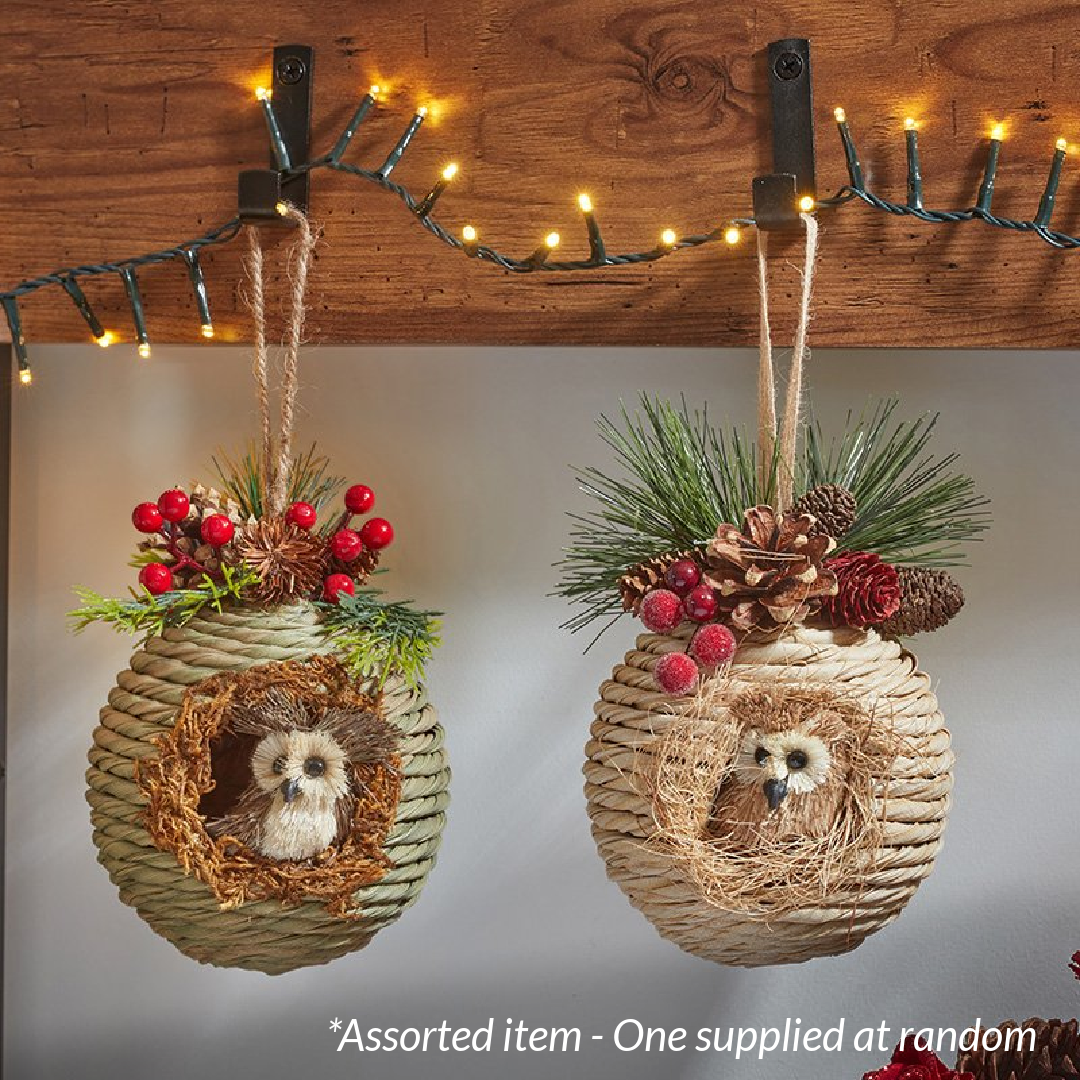 Festive Roosting Owlet Christmas Decoration Assorted – One Supplied*
