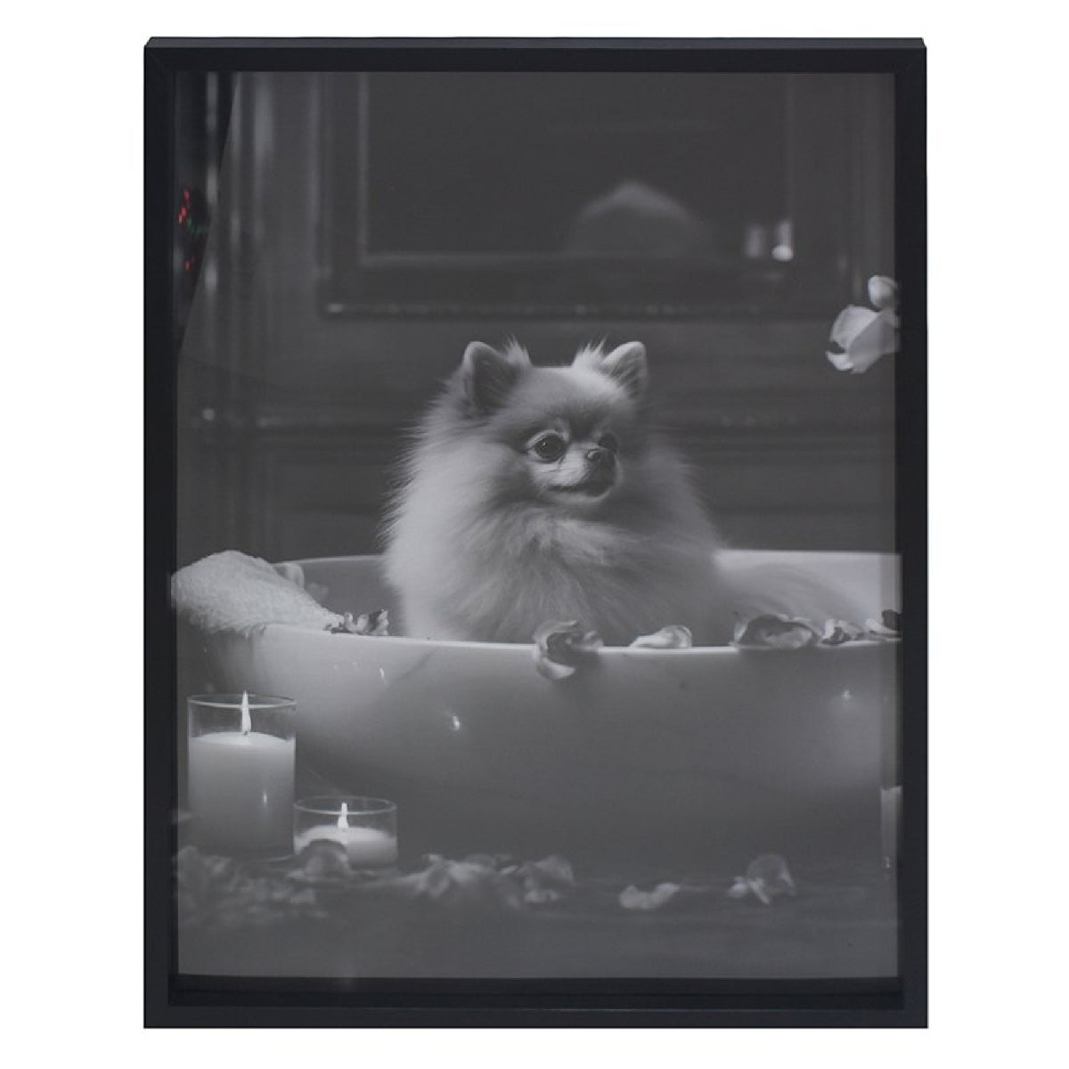 Pomeranian Wall Art Print, Monochrome, 45 x 60cm - PICTURES, PAINTINGS - Beattys of Loughrea