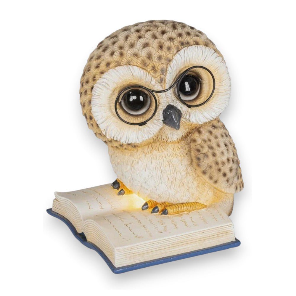 Decoris LED Owl on a Book 24.5cm, Warm White - XMAS CERAMIC WOOD RESIN GLASS ORNAMENTS - Beattys of Loughrea