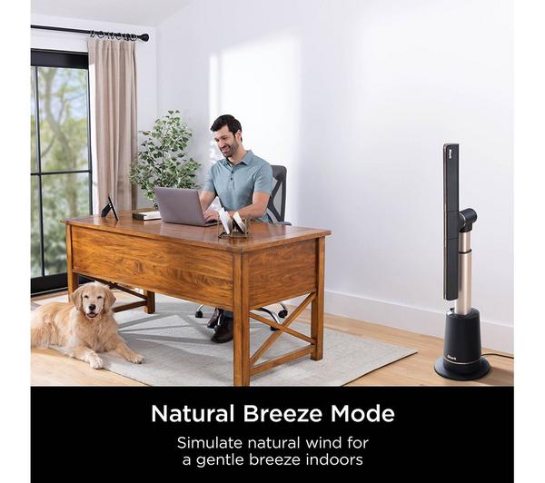 Shark TurboBlade Multi - Directional Cooling Fan Black | TF200SUK - DE HUMIDIFIER - Beattys of Loughrea